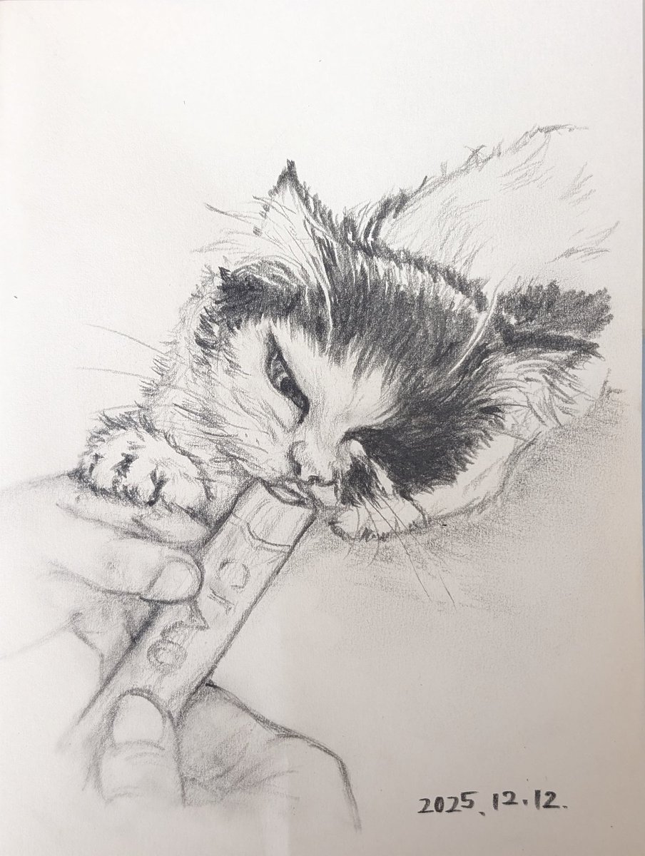 20分スケッチ】夢中です | まるり たいていの猫は好きなヤツ。 子猫の