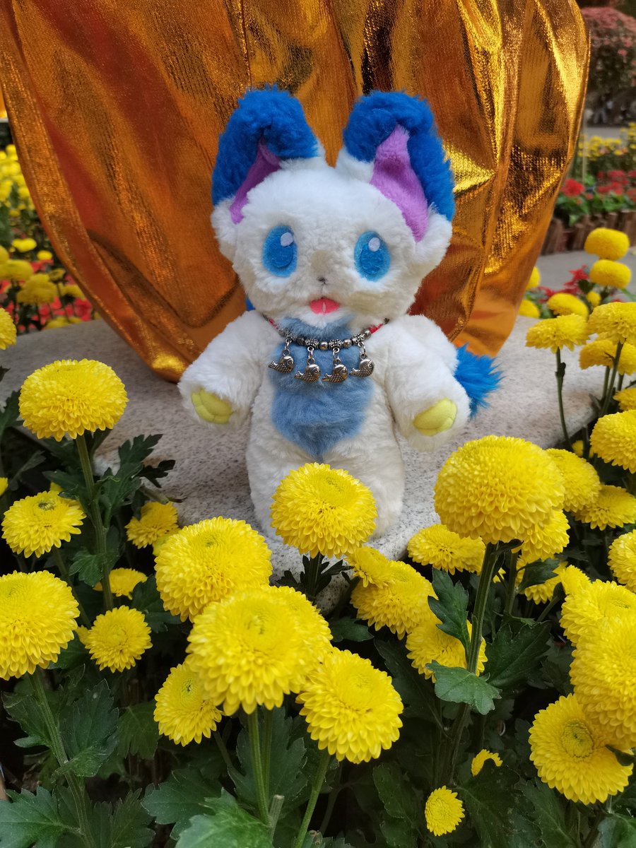 SilverSnowyx tweet media