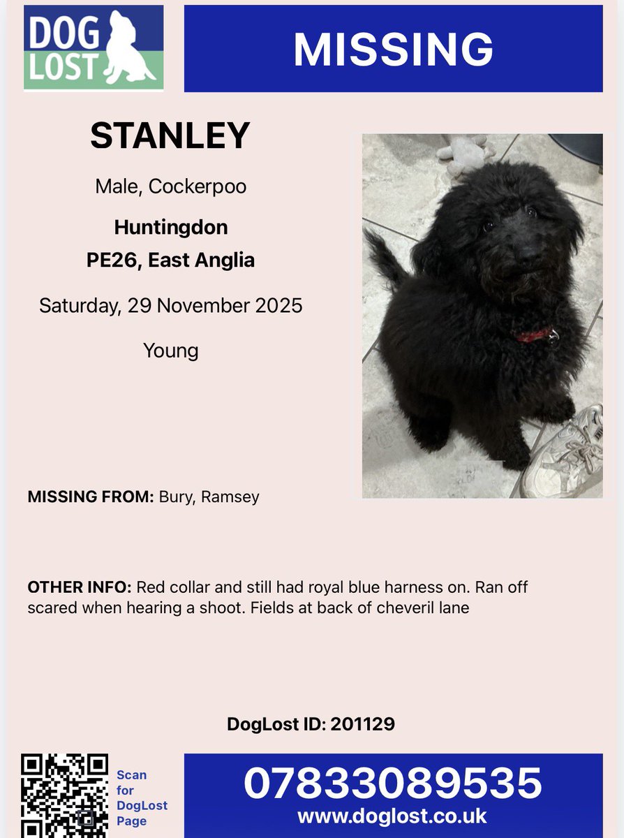 MakeChipsCount to Reunite Pets tweet media