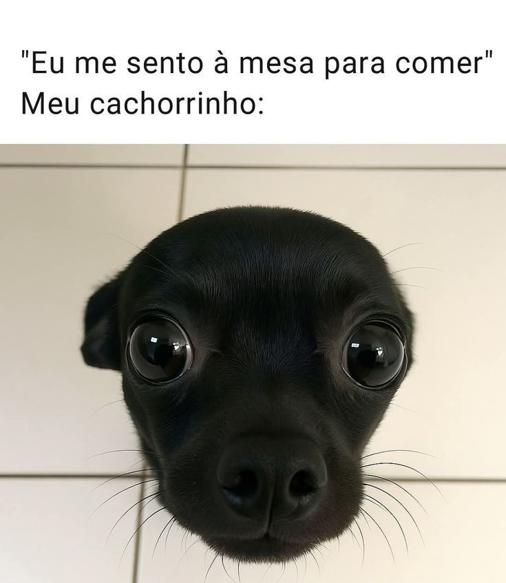 iti malias (@itimaliasof) on Twitter photo 