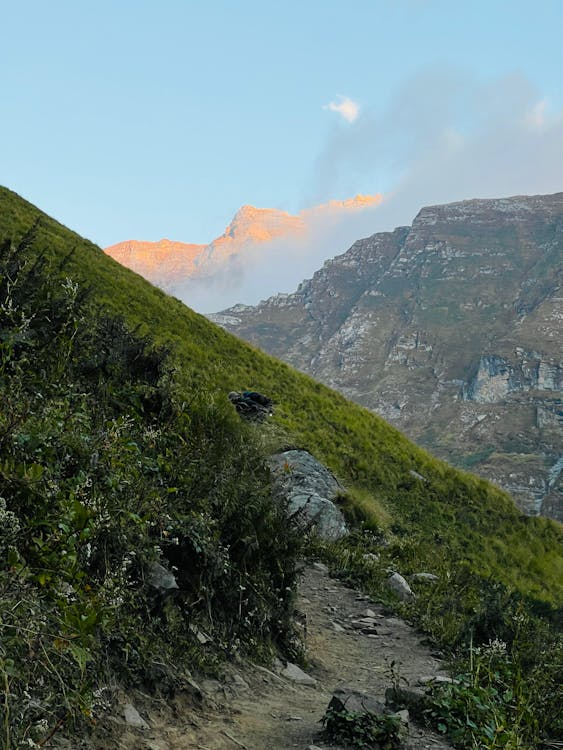 Aprilvca's tweet image. Every detail in nature reveals the miracle of life. #NatureBeauty #Scenery"