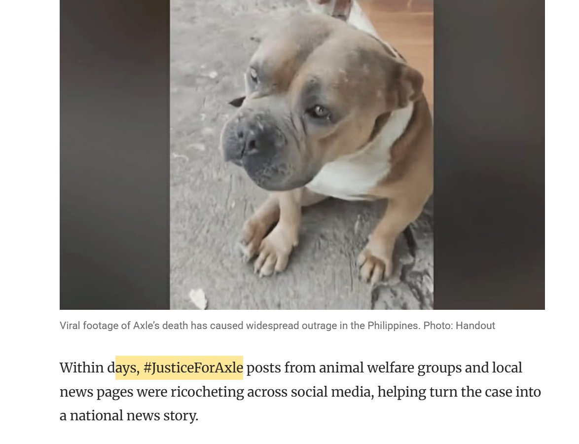 jimothy_phd's tweet photo. Axle has caused a coalition with people on social media #JusticeForAxle 

Dog was brutally beaten on video, and no one even tried to help

article from today: https://t.co/EmlJqKymQn https://t.co/ARWFVXRODX