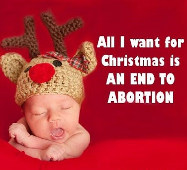 LifeNews.com (@lifenewshq) on Twitter photo 