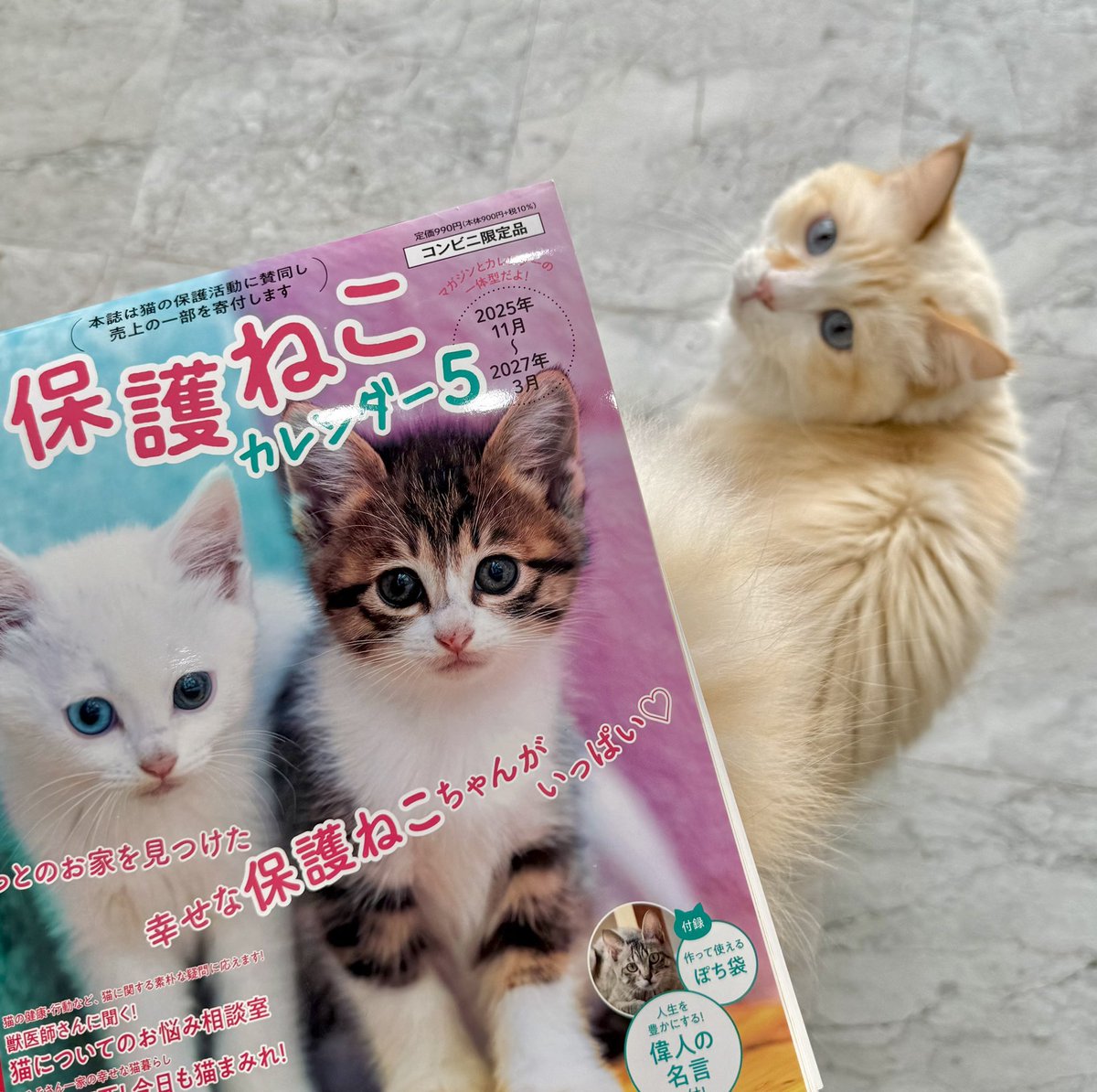 なみそ📕KEN/書籍重版！感謝📙 (@omochi_nam01) / Highlights / X