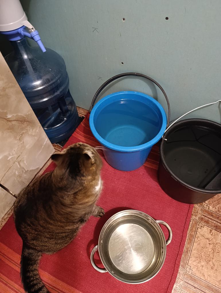 Конечно же он сам так и не попил. Сперва сидит смотрит на воду, потом орет, что шла поить. Раньше с кастрюль любил, сейчас и она не привлекает.
Напился и пошел бесоёбить дальше :)