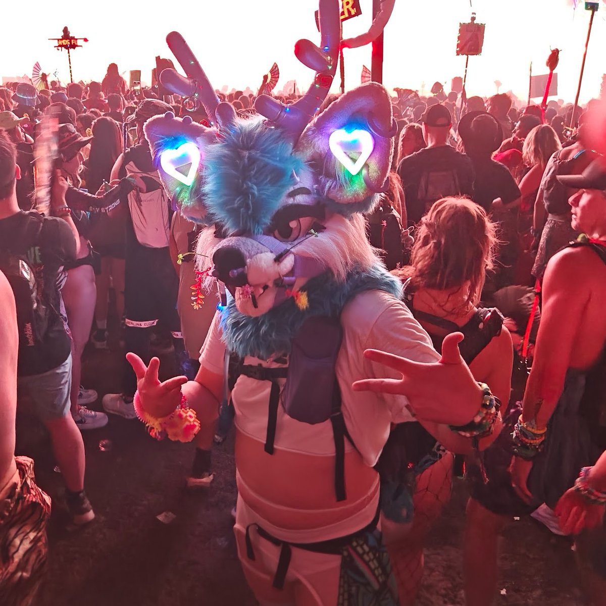 ~Eggie~ - LVFC/FWA/AO/EForest/AC🦌 tweet media