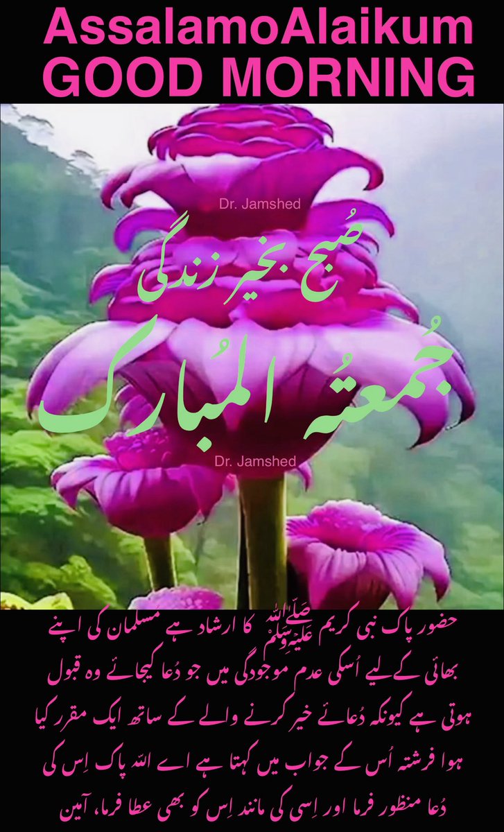 JamshedUSA's tweet image. 🌺    Assalam   O   Alaikum    🌺. 

🌹  Good Morning“X”Family  🌹

 🌺   Have a blessed Friday   🌺

 (  Like + Rt = Follow Back  )   💯