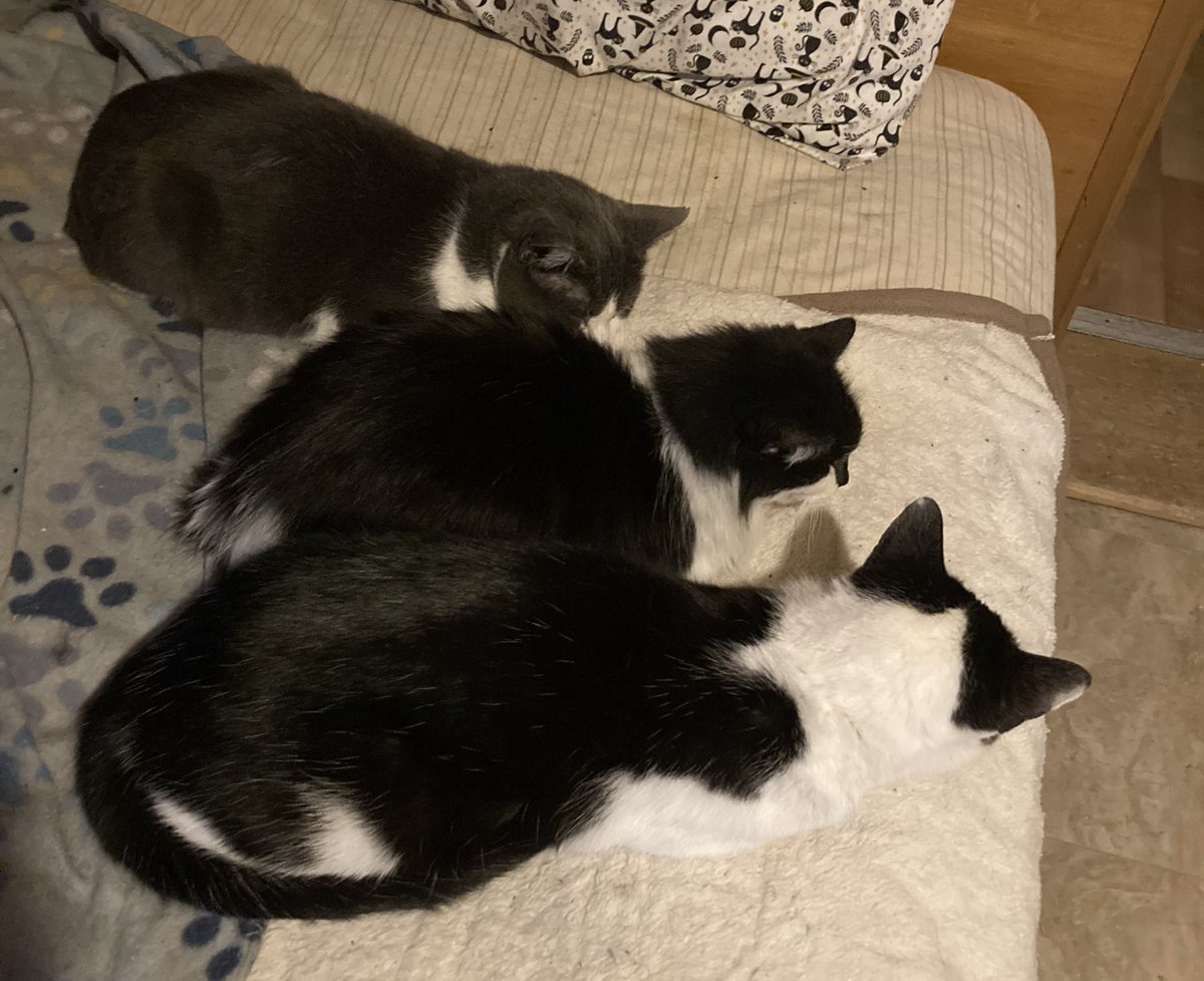 I can’t keep track of time. I’m a day ahead but also behind 😅 I’m sitting more which makes me feel lazy. Watched some great movies 🎥 well half of them then get up n do things. The dynamic in the house has changed. Bullying n hiding, I don’t know why but I’m trying to fix it 🤞