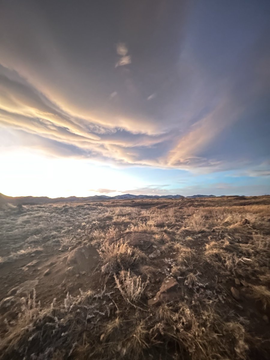 wrongtrade's tweet image. my new backyard