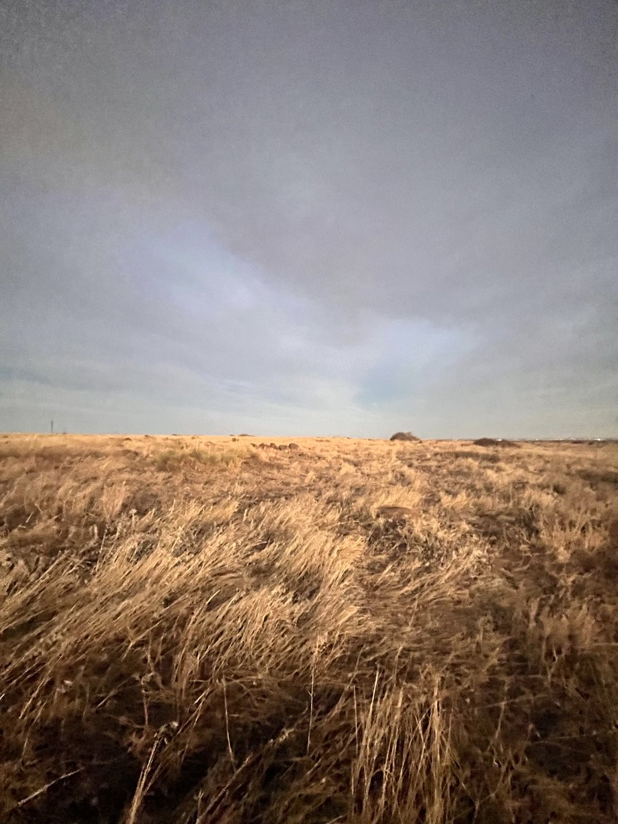 wrongtrade's tweet image. my new backyard