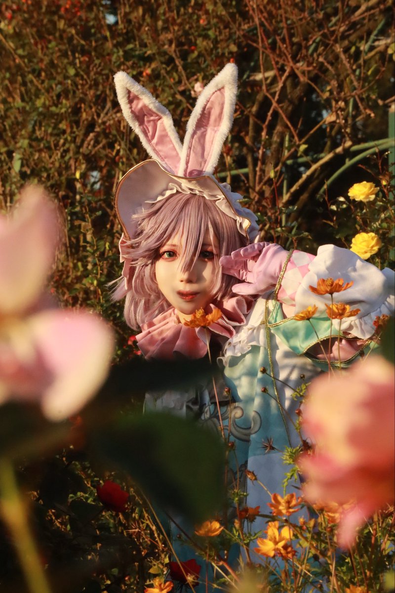 ここだよ🐇

#twstコスプレ