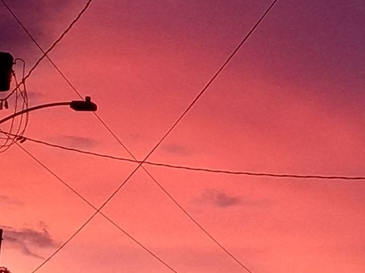 Phishman8's tweet photo. Art of the Day! "Rex Sky". Buy at: https://t.co/nNNDcS92pG https://t.co/85pPaDp8or