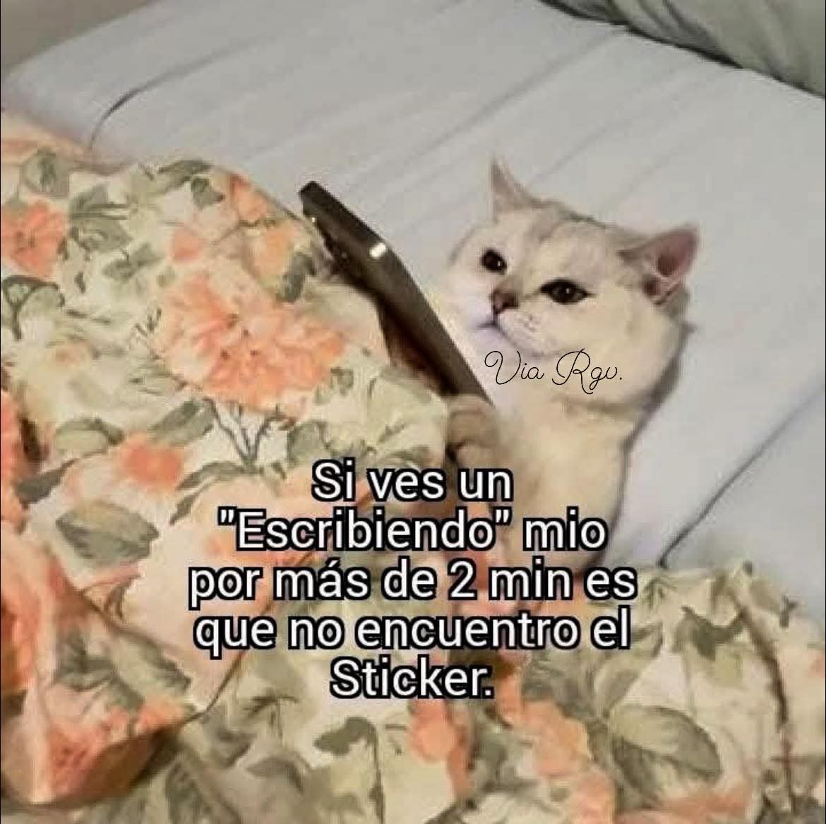 TuzitaXtuitera's tweet photo. Aviso https://t.co/I2snMyjAnU