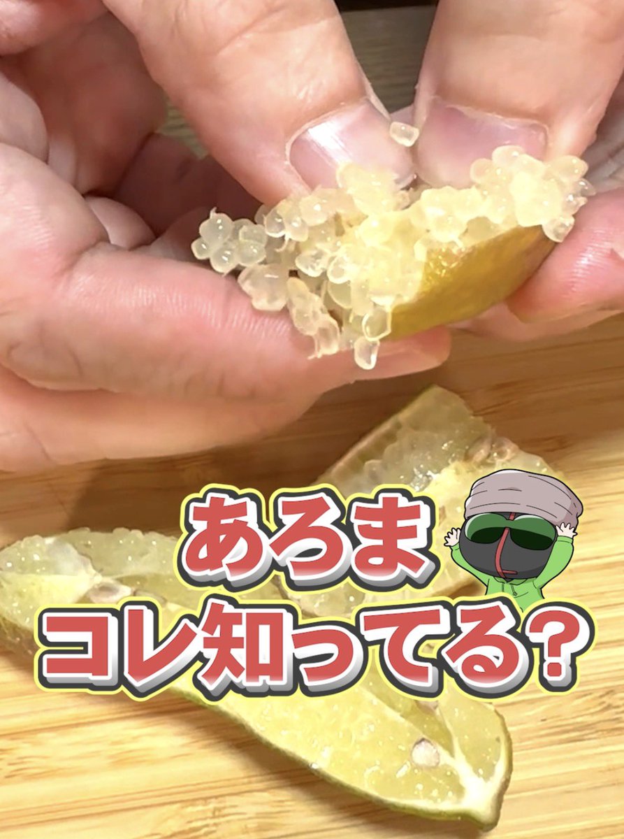 MSSP FB777 横アリ 羽根 MSSP FB777 横アリ 羽根