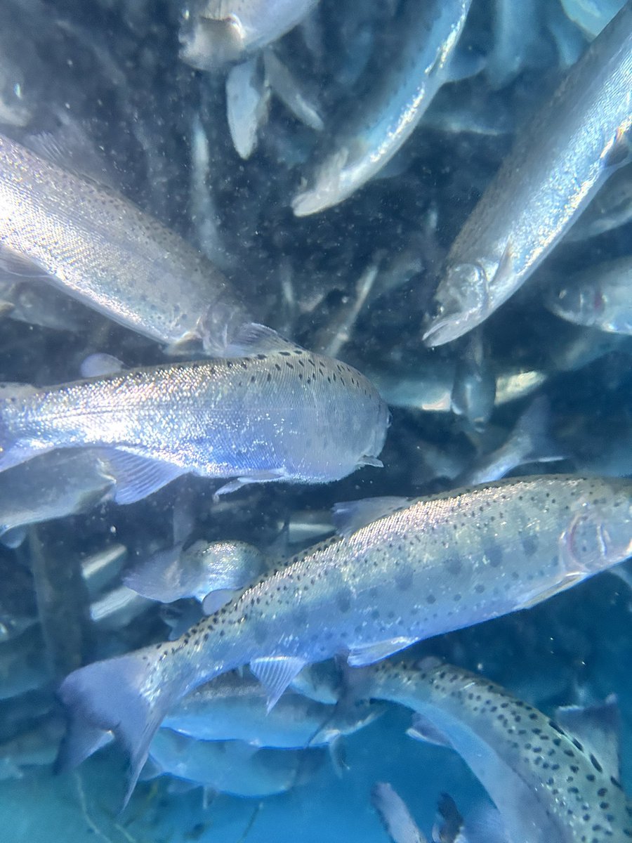 大きくなーれ
大きくなーれ