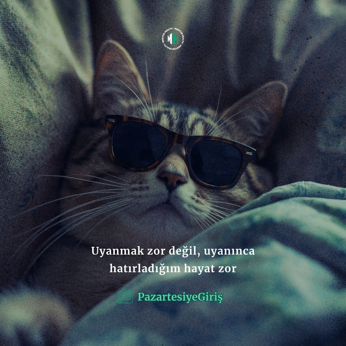 mentorhealthco's tweet photo. Her pazartesi sabahı. 

Yoksa her iş günü mü demeliyiz? 

Neyse bizler sizin için ücretsiz olarak buradayız. 

https://t.co/c5S5a3wVAn

#sağlık #özelhastane #sağlıkbakanlığı #mevzuat #haftalıksağlıkbülteni #haber #substack #lider #kahve #pazartesi #monday #pazartesiyegiriş https://t.co/5VGCWBxFCk