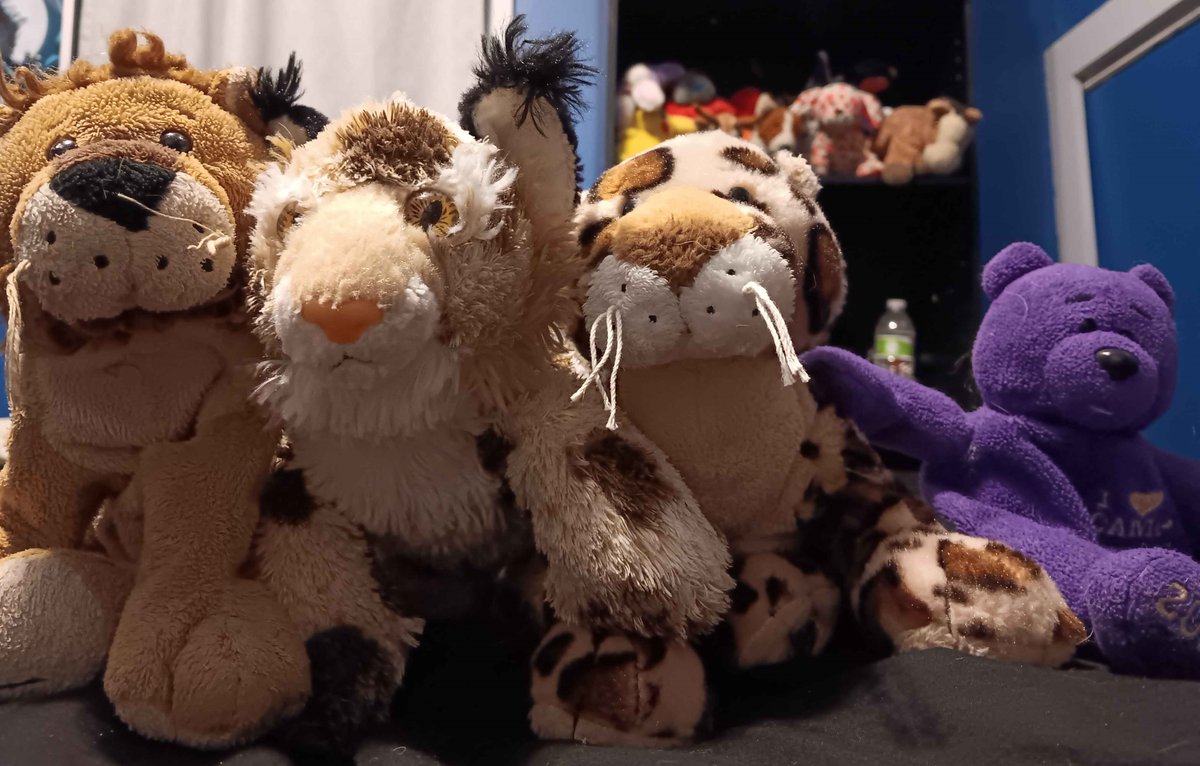 ShadowGohan7's tweet image. Next up is Team Jelly vs Team Keyle