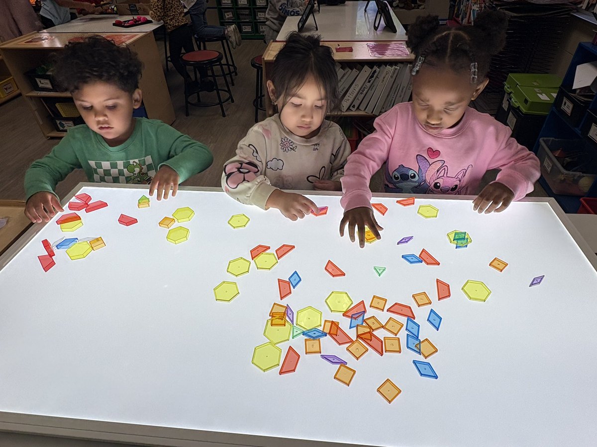 Ashley Fort tweet media