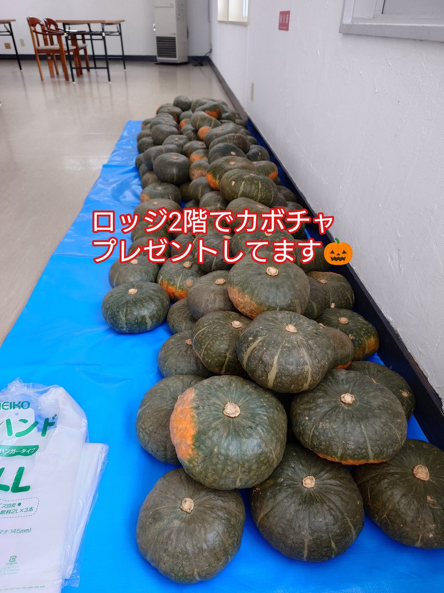 12/12(金)曇り 気温−7℃ 積雪50cm
営業時間10:00〜20:30
全コース滑走OK

本日待望のオープンを迎えました🎊

雪はまだ少なく、ブッシュ、石、地面等出ているところが多数あります。
注意して滑走して下さい😊

お待ちしてます！