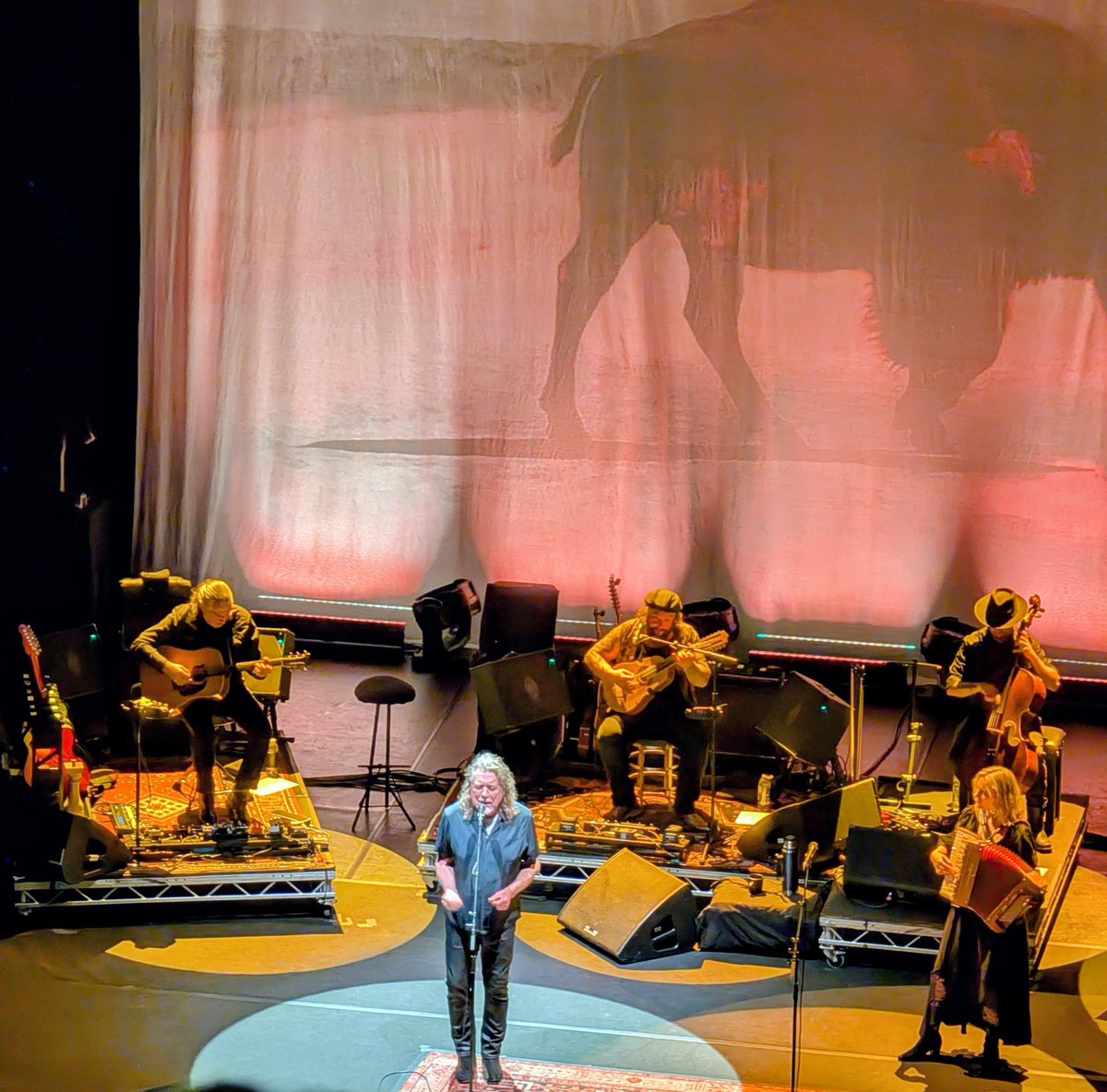 lucinda.macpherson tweet media