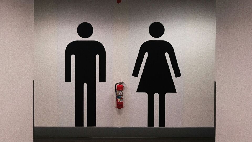 RonniNicole1's tweet image. "Mixed-sex changing rooms are putting women at needless risk

Trans-inclusive and gender-neutral policies have been a major boon for predators – and the data prove it"

Spiked on line
archive.today/ScT9r