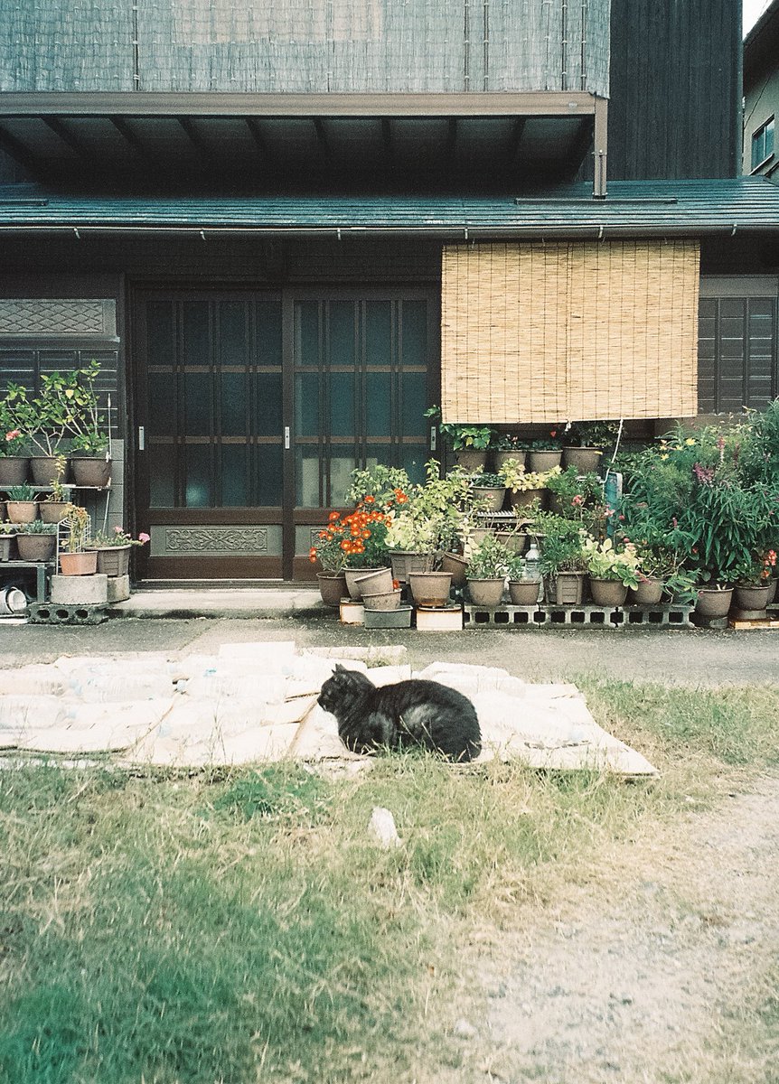 yshs_4003's tweet photo. film. https://t.co/IEf8KpVU6w