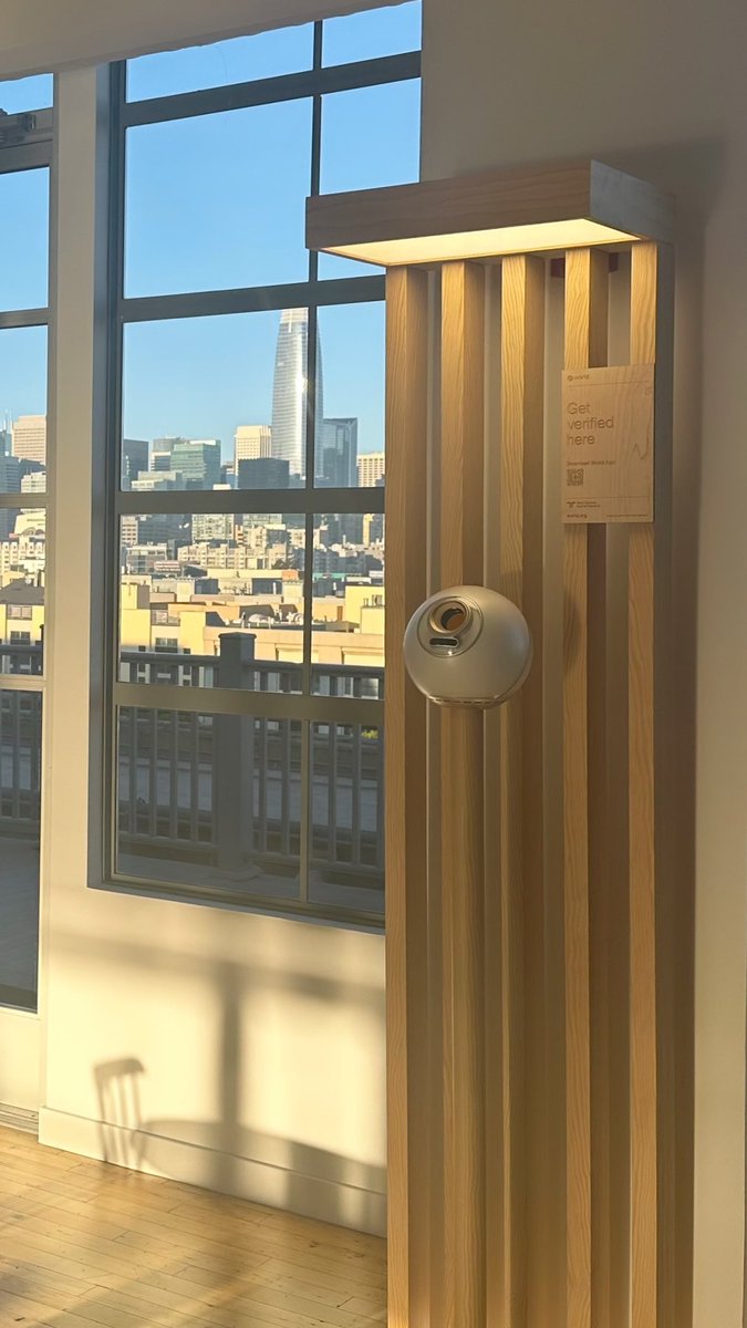 Molly O’Shea tweet media