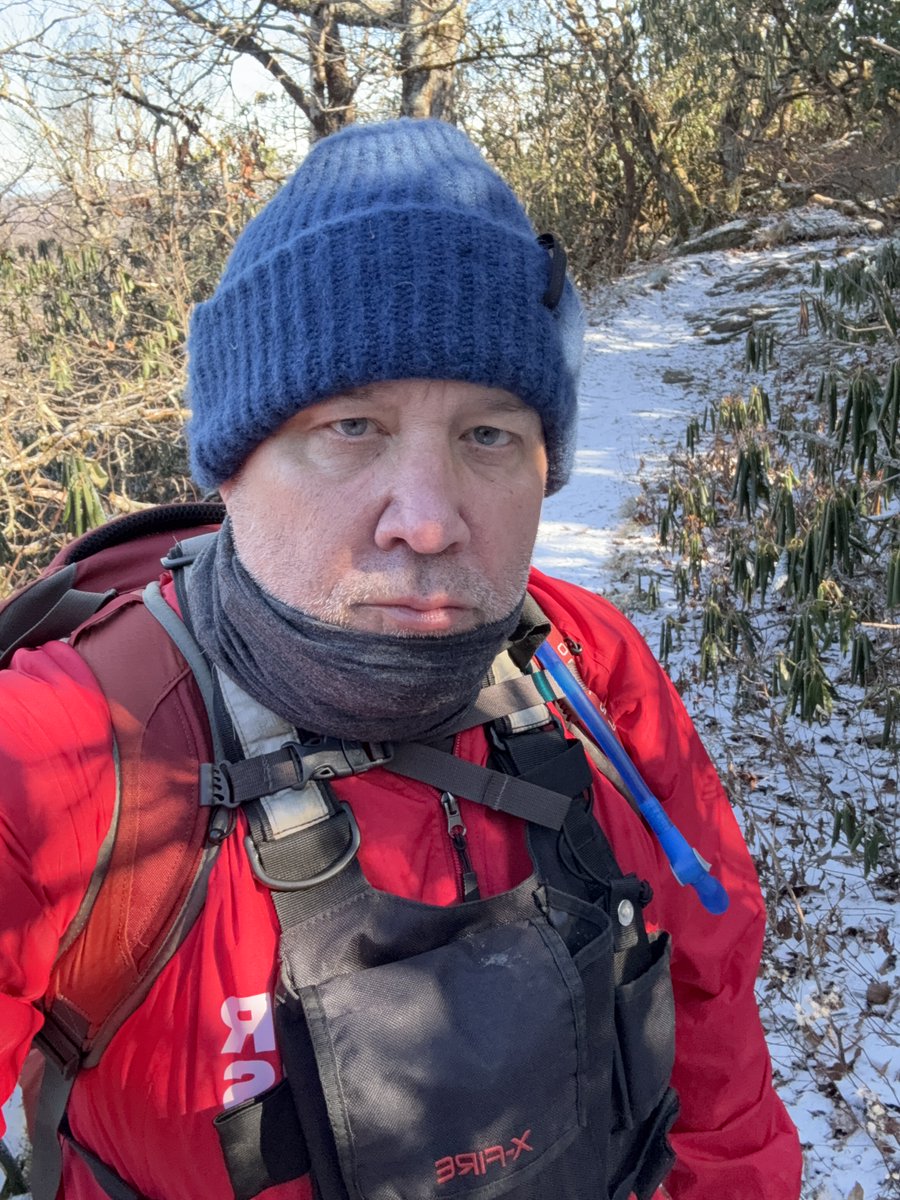 SF INVESTIGATES • STEVE FISCHER tweet media