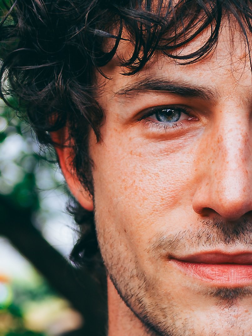 wallows archive tweet media