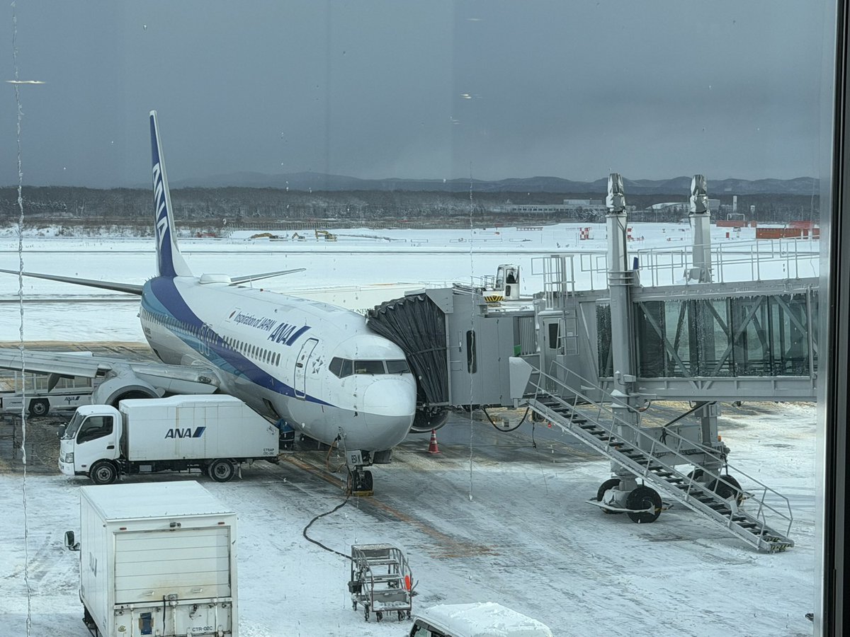 グラファイター tweet media