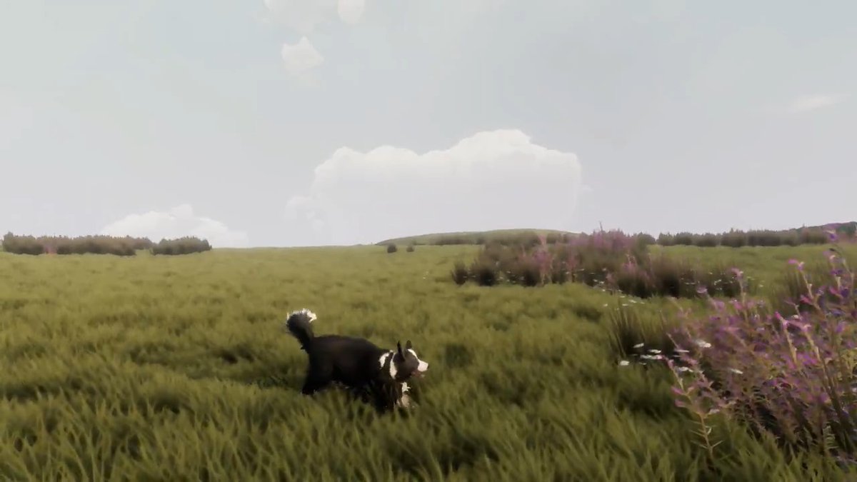 シバモトショウ (@hi6sho) / Posts / X