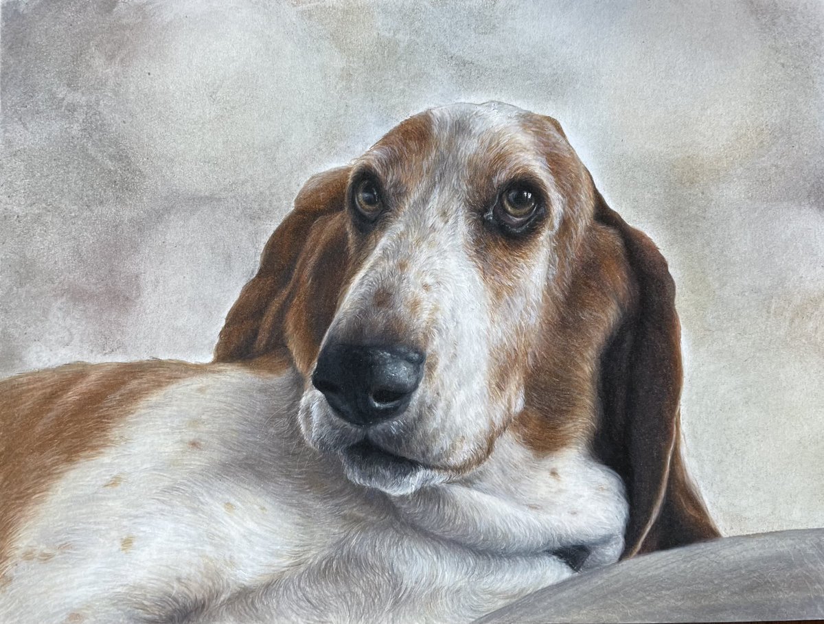 Mark Lewis, MD, FASCO tweet media