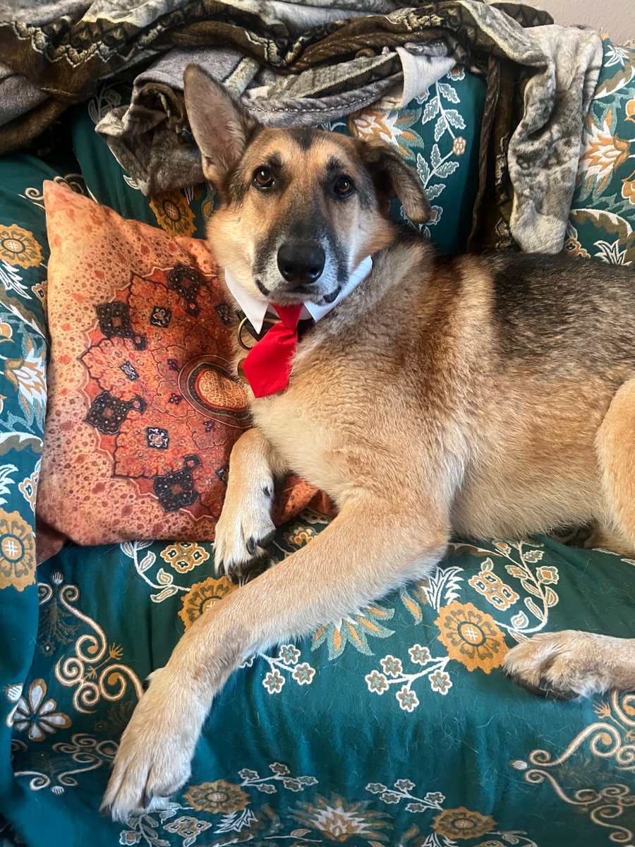 🎨Artsy M*rxist 🎨 (commissions closed) tweet media