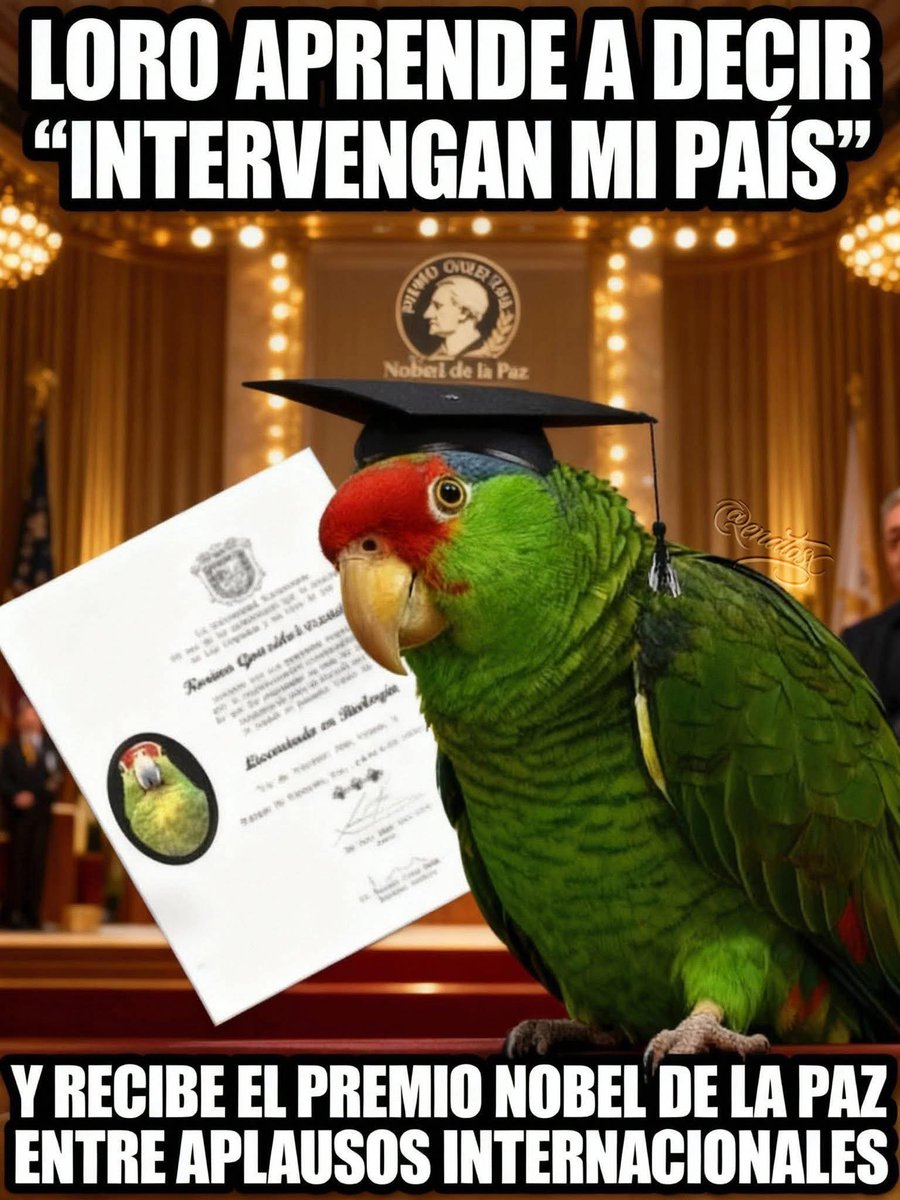 Caterin49788702's tweet image. 