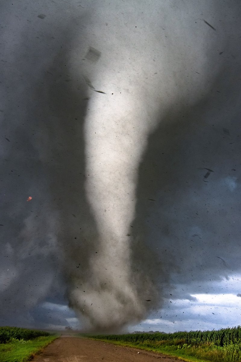A photo I took when it was windy