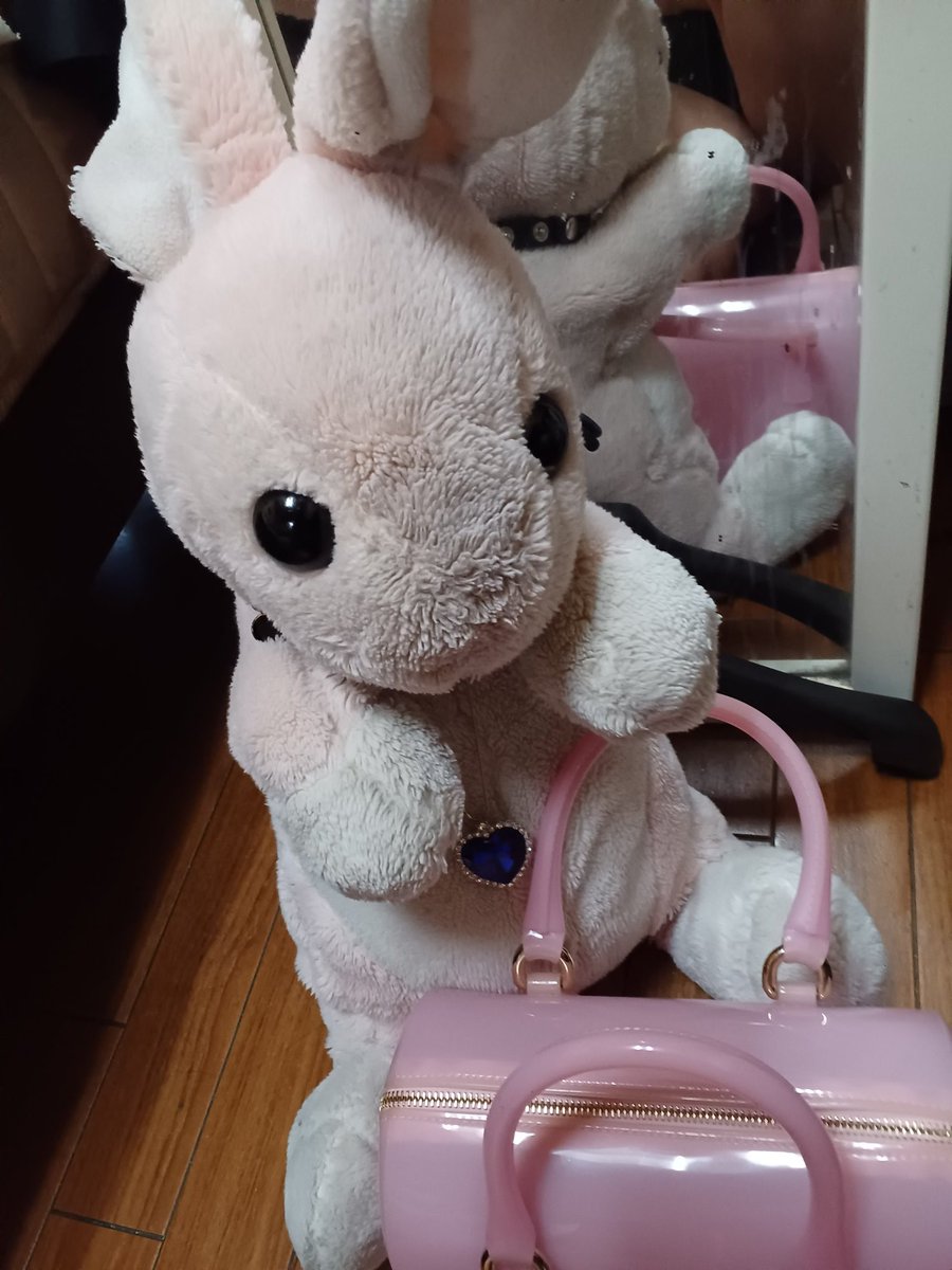 世界一ブランドが、似合うウサギ Kuku rabbit さん。