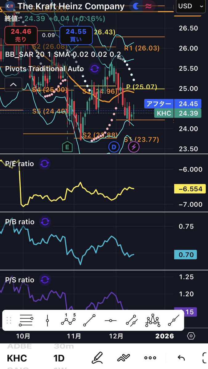 ❻ 金運UP イワヒバ 首長最上株物 超多株２０多幹３０年以上物 ➅金運up イワヒバ 首長最上株物 超多株20多幹 30年以上物激安の
