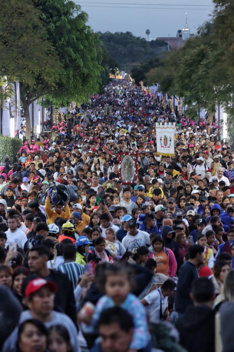 El Sol de México tweet media