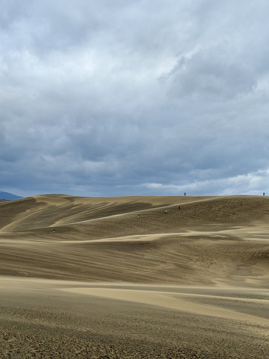 Sakyu_visitor's tweet image. 12月11日・12日

昨日は約65㌔先の大山がくっきりはっきり見えるほど、空気と空が染んでいました🏔️

今日は打って変わって、悪天候?
風は16m/s吹いています。
砂柱と砂廉がしっかり見ることができます!
気温差が激しいので、暖かくしてお越しくださいね🤧

#鳥取砂丘 #鳥取県 #鳥取市