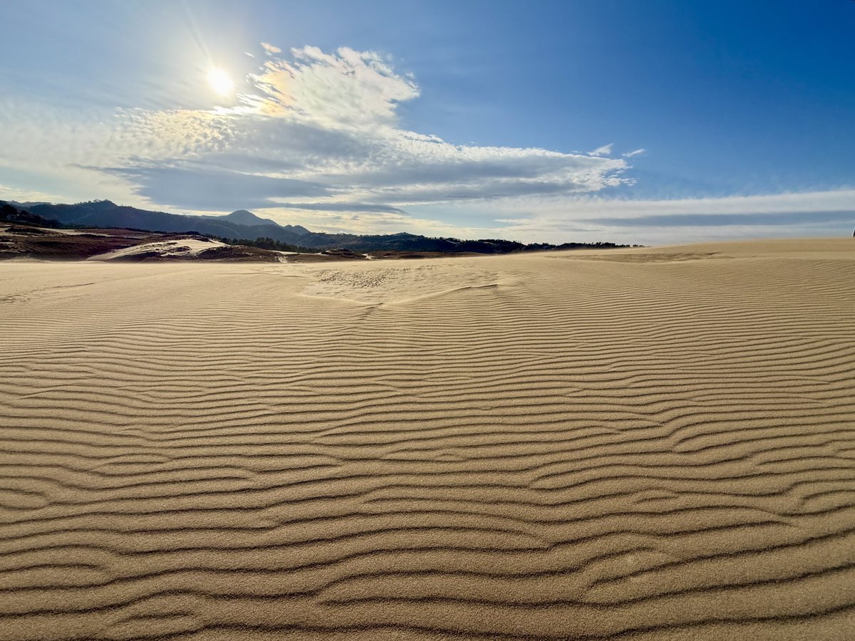 Sakyu_visitor's tweet image. 12月11日・12日

昨日は約65㌔先の大山がくっきりはっきり見えるほど、空気と空が染んでいました🏔️

今日は打って変わって、悪天候?
風は16m/s吹いています。
砂柱と砂廉がしっかり見ることができます!
気温差が激しいので、暖かくしてお越しくださいね🤧

#鳥取砂丘 #鳥取県 #鳥取市