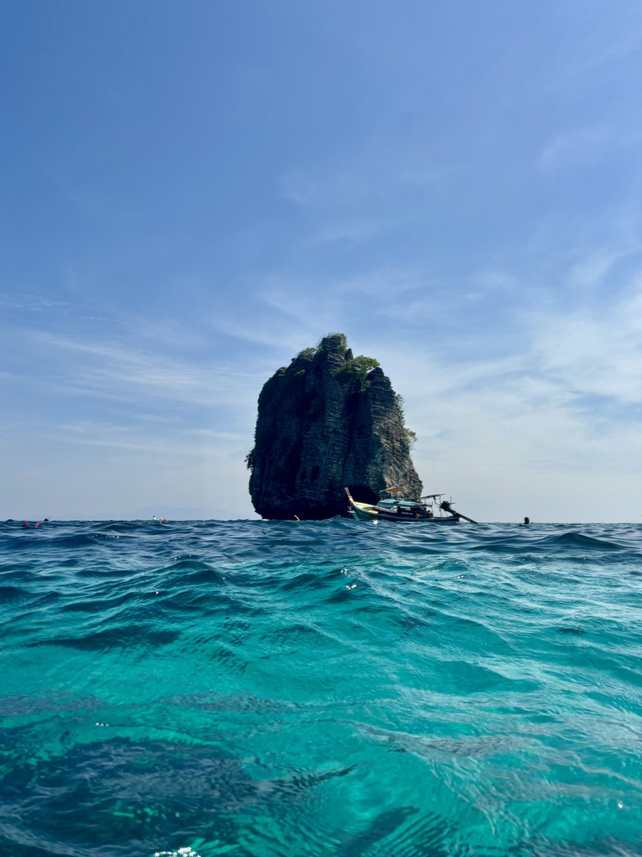 正在想喝奶盖茶 tweet media