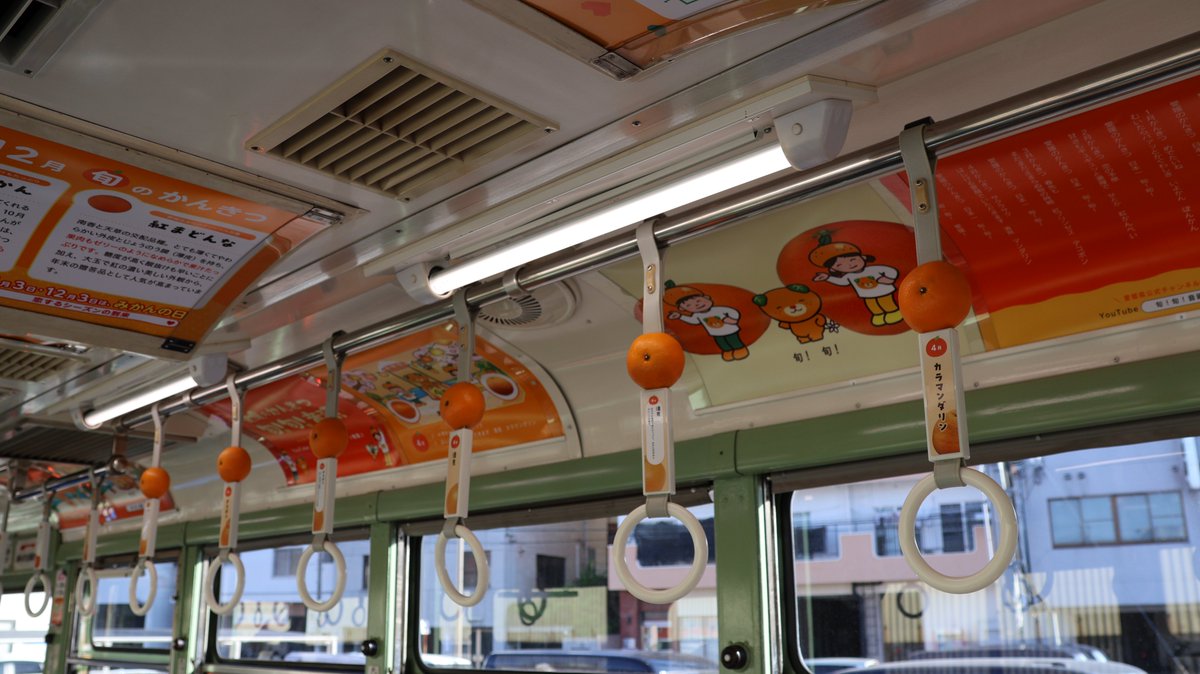 いよ子です。 みかん電車の車内はみかんでいっぱい🍊 お気に入りの品種