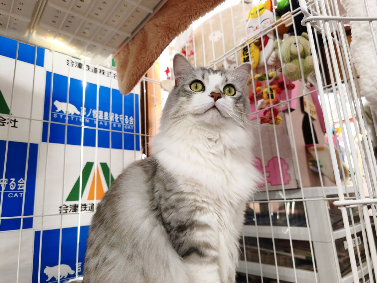 赤いDemio (@akaidemio9969) / Posts / X