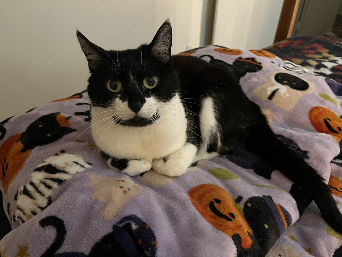 Sarah 🐋 tweet media