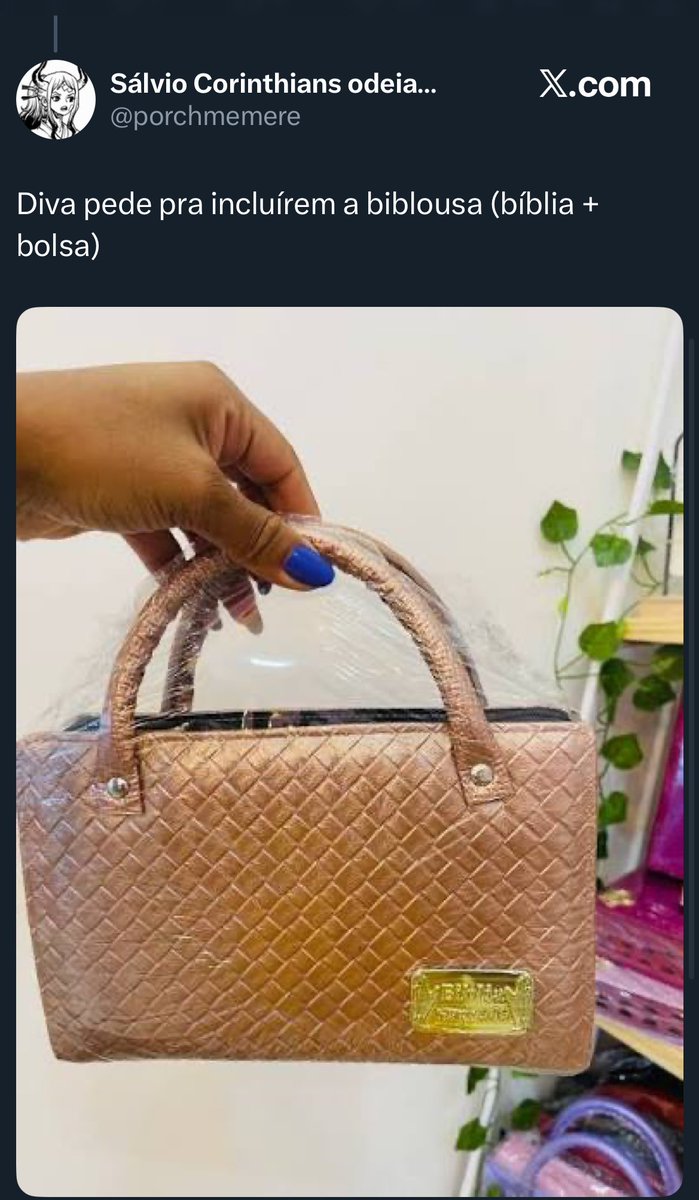 Luiza Rosa tweet media