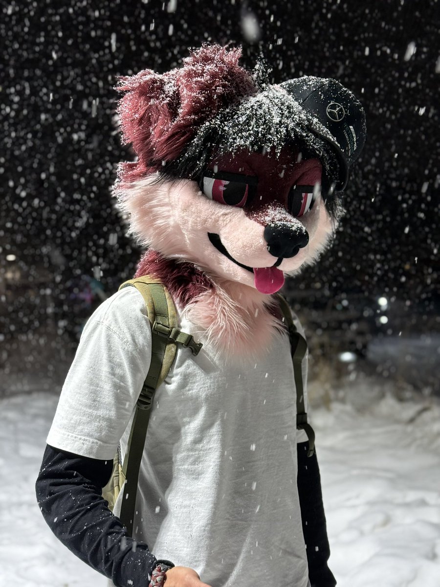 Biscuitlmao's tweet image. Can’t believe mff was almost a week ago already :(