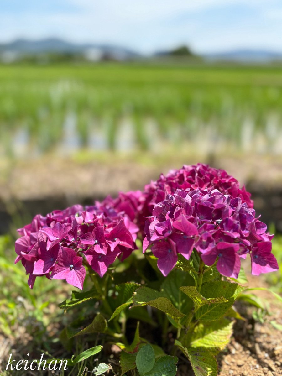 けいちゃんページ けいちゃん (@k1222_keichan) / Posts / X