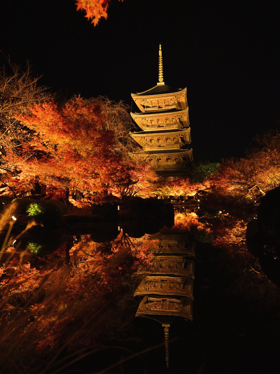 kate_gatehan's tweet photo. #写真好きな人と繋がりたい 
#京都
#東寺
#ライトアップ
#紅葉
#リフレ https://t.co/qNNs0MCFRO