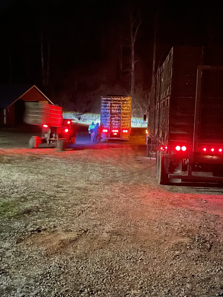 Kevin Tanner tweet media