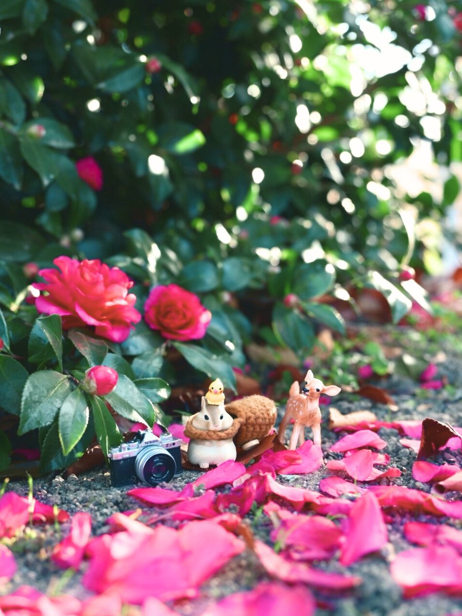 めぐ｜写真 (@TwinsMeg11) / Posts / X